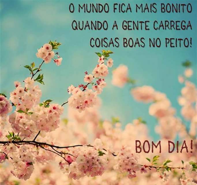 Bom dia Betas!