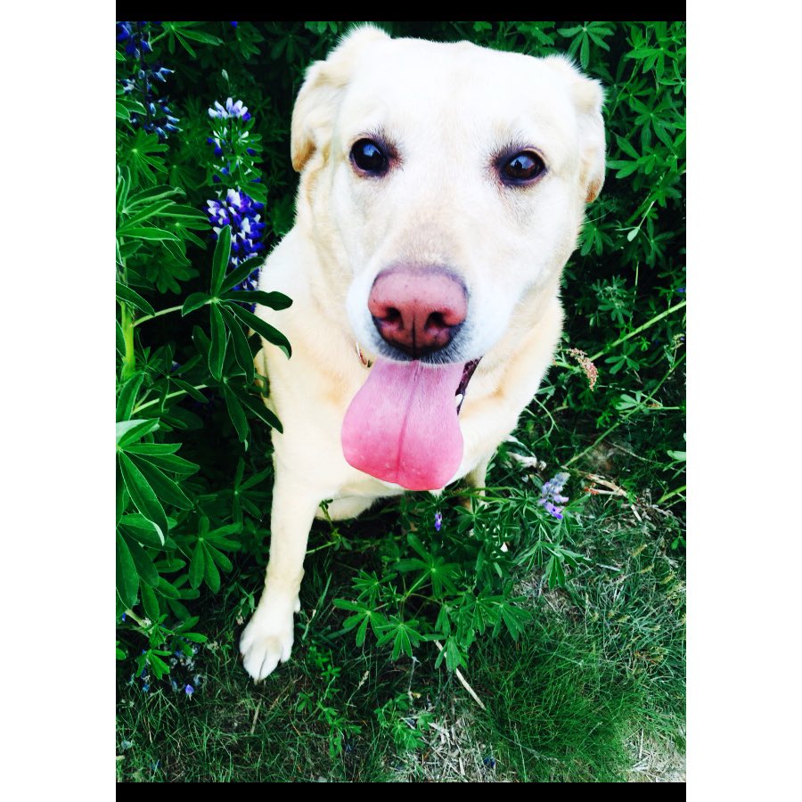 Karen (@ksrenelisabet) on Twitter photo 