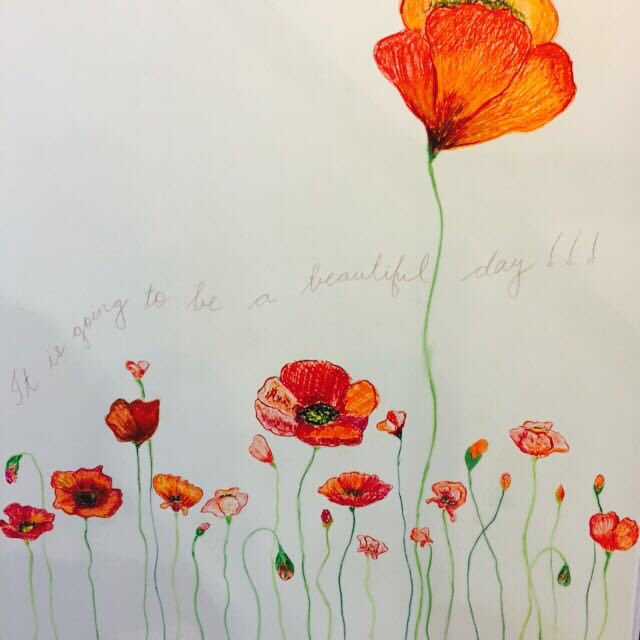 ilovepero's tweet photo. It is going to be a beautiful day 🌺♥️ #poppylove #handmade #pérobyAneethArora #Aifw #AIFWAW16 🌈⛅️♥️ https://t.co/xRPyC5N9nV