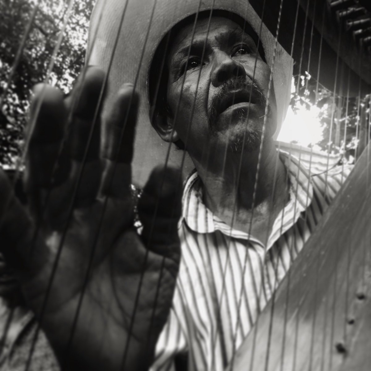 HelmutDosantos's tweet photo. From my #documentary "Gods of Mexico" José harp musician, traditional Doctor #arcaic #ritualofthefourwinds #film #BW https://t.co/IzoDvgnpo0