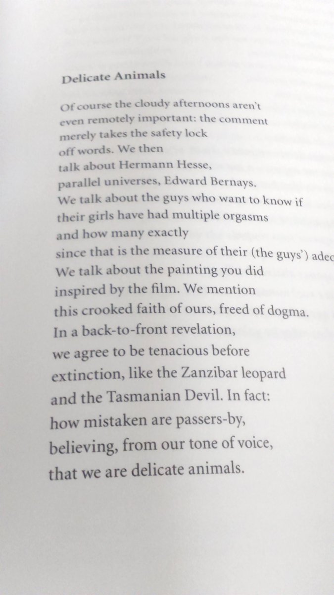 malgosia_polak's tweet photo. Beautiful Adriana Lisboa's poems in Sonofabook 2 #CBeditions https://t.co/pJOy8OfQEV