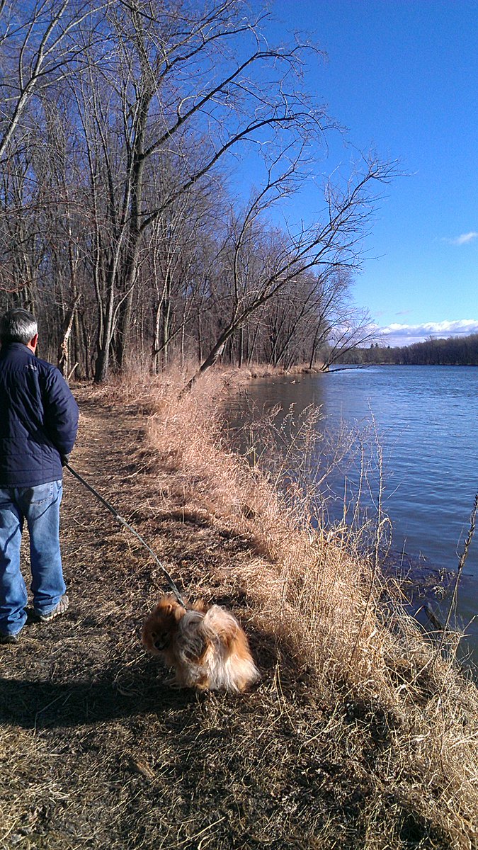 greenbirdspirit's tweet photo. .Derway Island Trail #ChamplainBasin hidden gems. 3/19 last day of winter 25F. #btv https://t.co/af7M8qbFBc
