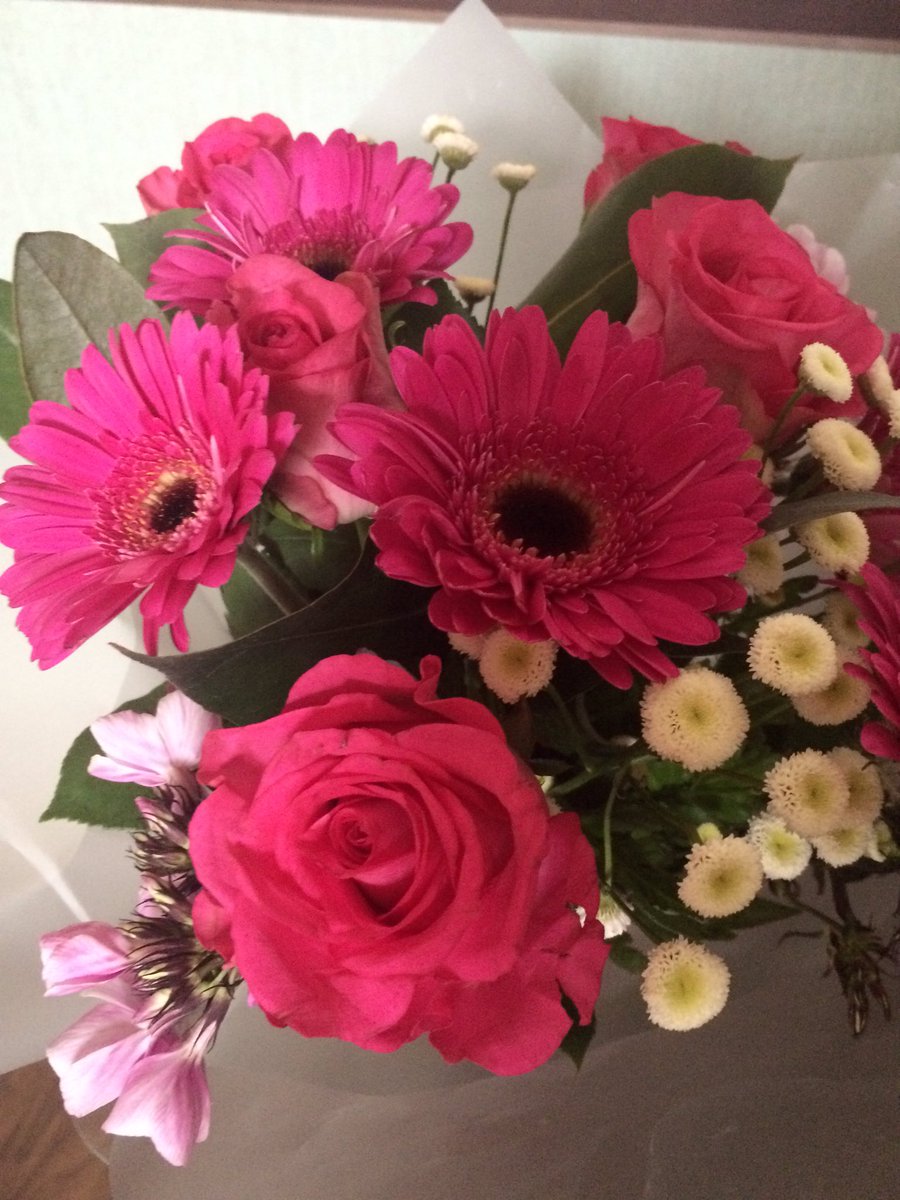 chocdream14's tweet photo. @paige_dancer's flowers off a special someone ! @MeyrickConnor https://t.co/ijD195JQp8