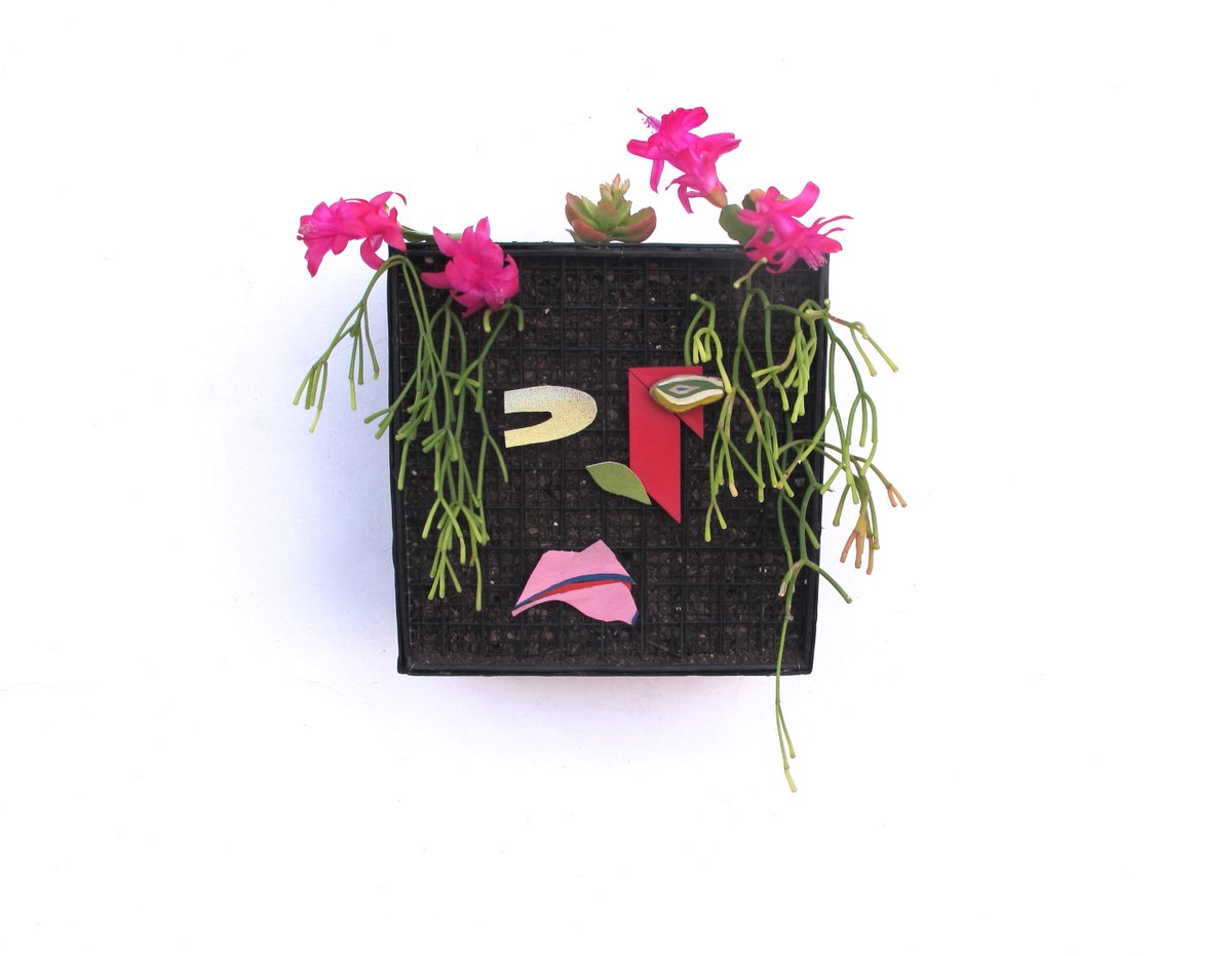 tratado0's tweet image. JUMLA QUEEN - BIONIC PAINTING / CUADRO BIONICO #BIONICPAINTINGS #CUADROSBIONICOS #HONEVO #ARTEBIHEMISFERICO #ART