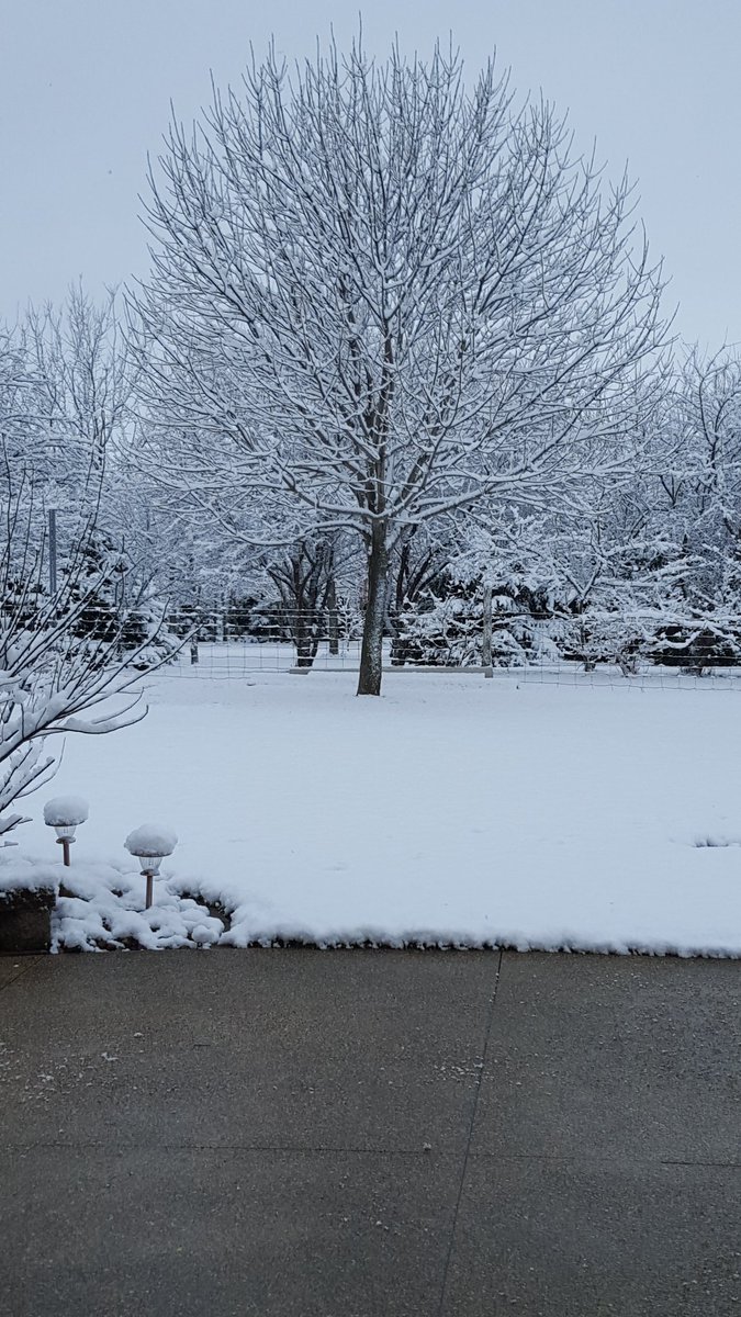 mslaws0228's tweet photo. Happy first day of Spring!! https://t.co/AJK6b5C217