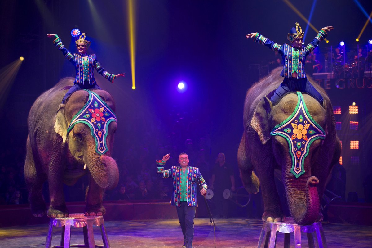 pole_marine's tweet photo. 2 places en jeu = 2 gagnants sur tirage au sort : dite simplement "j'aime le cirque". Résultat demain matin ! https://t.co/hlK98wY7cj