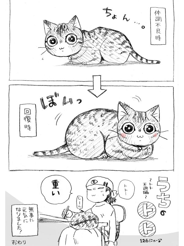 ねこまんが。第126話。トト不調編終了!…やはり遅れてしまいました。原稿無事校了。今回も最強ジャンプ殺せんせーQ!センターカラーをいただきました!28日発売の週刊ジャンプにて殺せんせーQ!出張第3弾も載りますのでぜひ一読あれあれ～。 