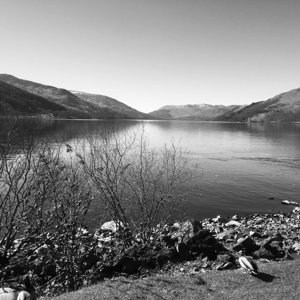 andrewkindness's tweet photo. #LochEarn https://t.co/juDqY53iK2