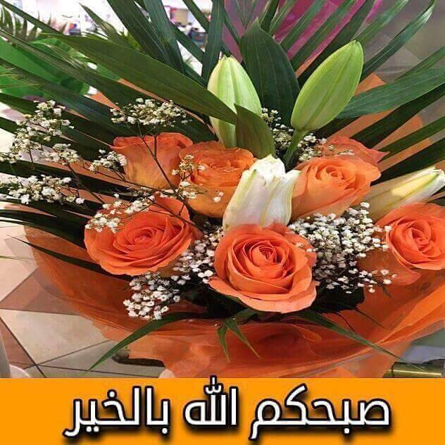 Spring Roses (@springroses) on Twitter photo 