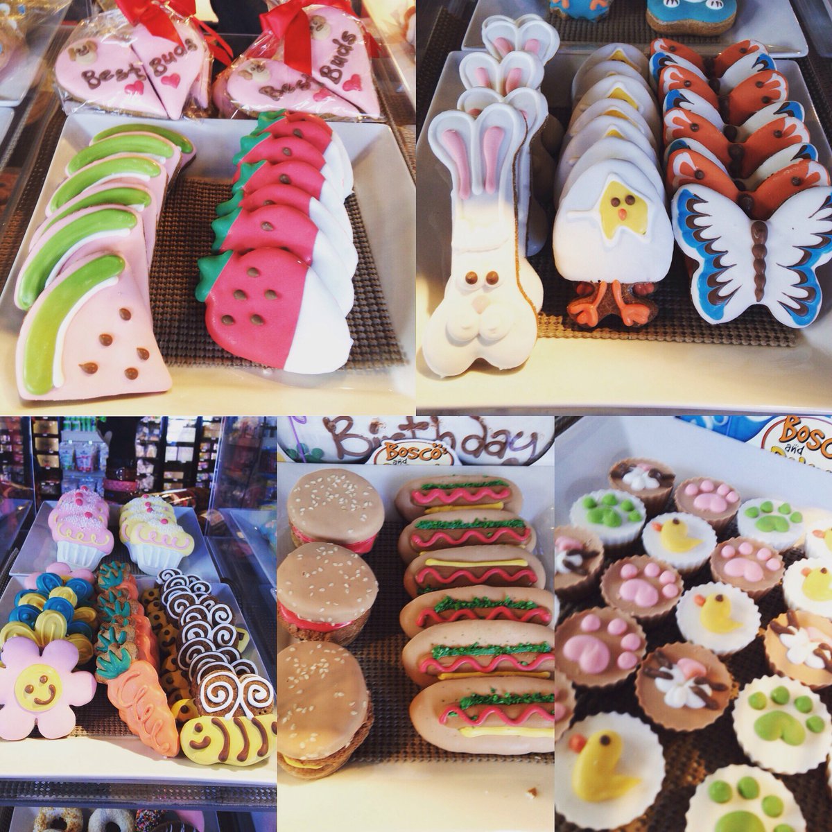 Bone_BiscuitFA's tweet photo. Spring cookies have arrived! #ymm #boscoandroxys #spring #boneandbiscuitfa https://t.co/Z0ZkQUNIq7