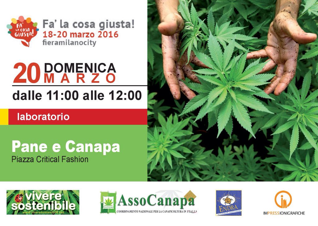 Assocanapa's tweet photo. Laboratorio del #pane alla #canapa @Assocanapa @Falacosa_Giusta ore 11 piazza critical fashion https://t.co/Byb4L67FyD