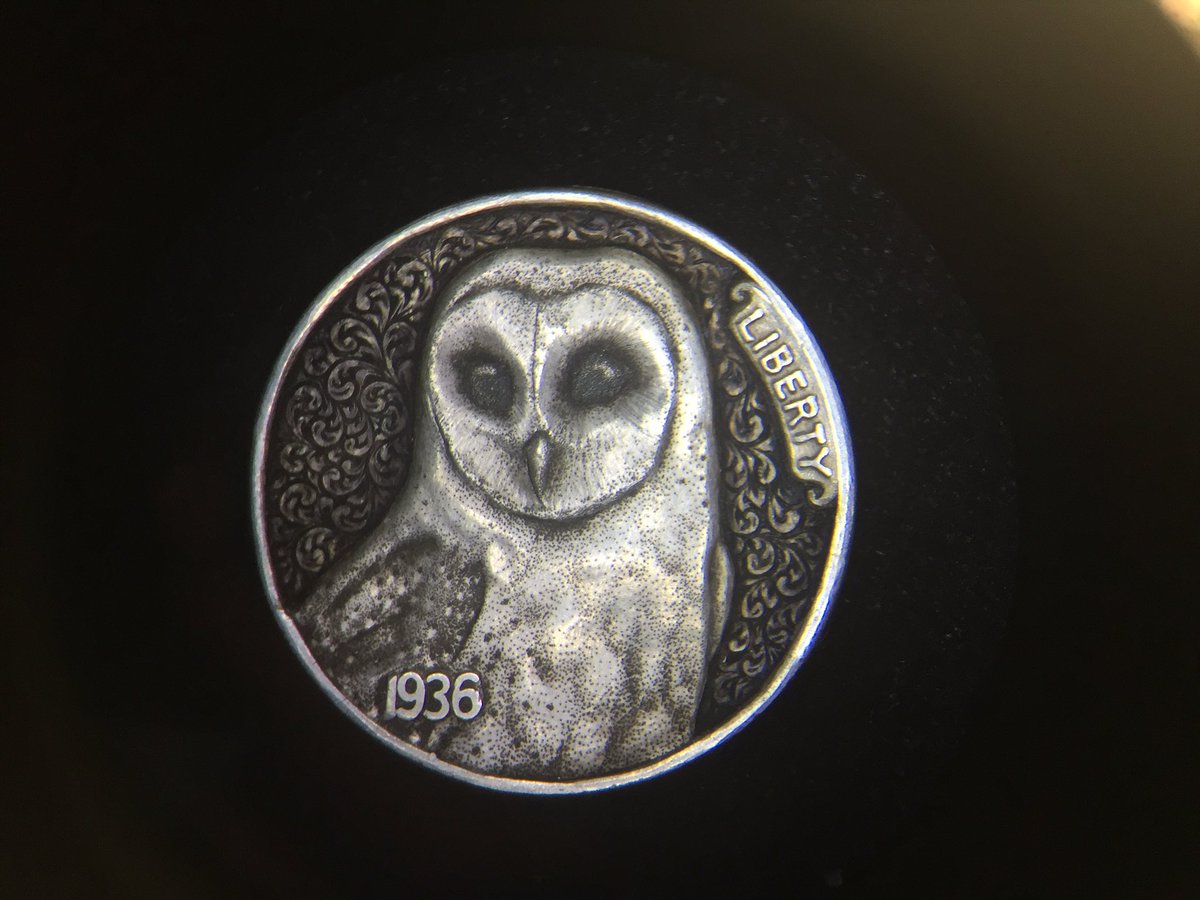 HarryCaldwellIV's tweet photo. Barn owl and scroll by Harry Caldwell and Katherine Plumer. https://t.co/qPQ3rnv5d4