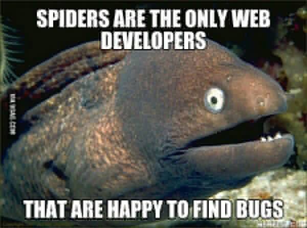 galileoguzman's tweet image. jajajaja #DeveloperTime spiders ate the only web developers 😂