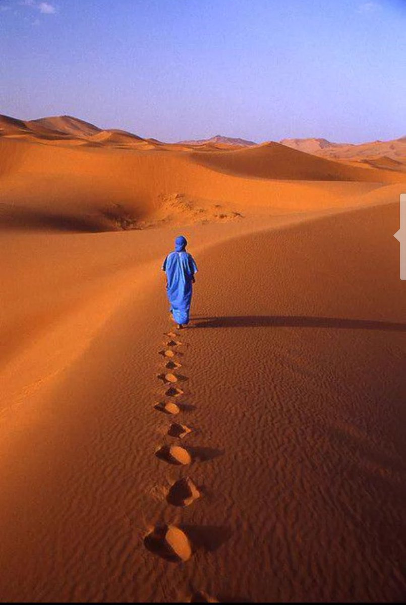 La solitude est une tempête de silence qui arrache toutes les branches mortes.
[Khalid Gibran]