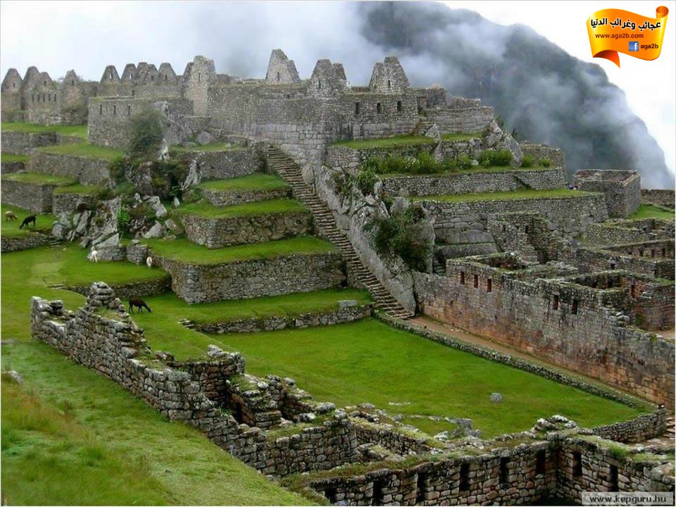 project2000_'s tweet image. حدائق بابل المعلقة إحدى عجائب الدنيا السبع في العالم القديم، وهي العجيبة الوحيدة التي يُظن بأنها أسطورة،