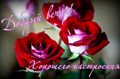 ViktorXvv's tweet image. Доброго вечера, Нежного,
Искренне Всем пожелаю,
Пусть он Приятно и Радостно,
Только Добро навивает!
#ВечерДобрый!!!