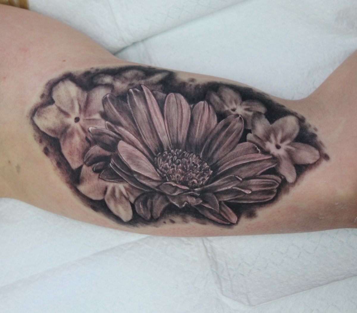 NoLoveLostTatts's tweet photo. WHOO needs a new tattoo? Time available next week call 905 419 1421 https://t.co/tNemyKWmHt