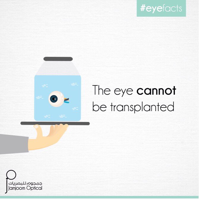 jamjoomoptical's tweet photo. #Eyefacts 👀

#Jeddah #Opticals #Tahlia #Ksa #جدة #نظارات #التحلية #JO https://t.co/MqIpMScHUh