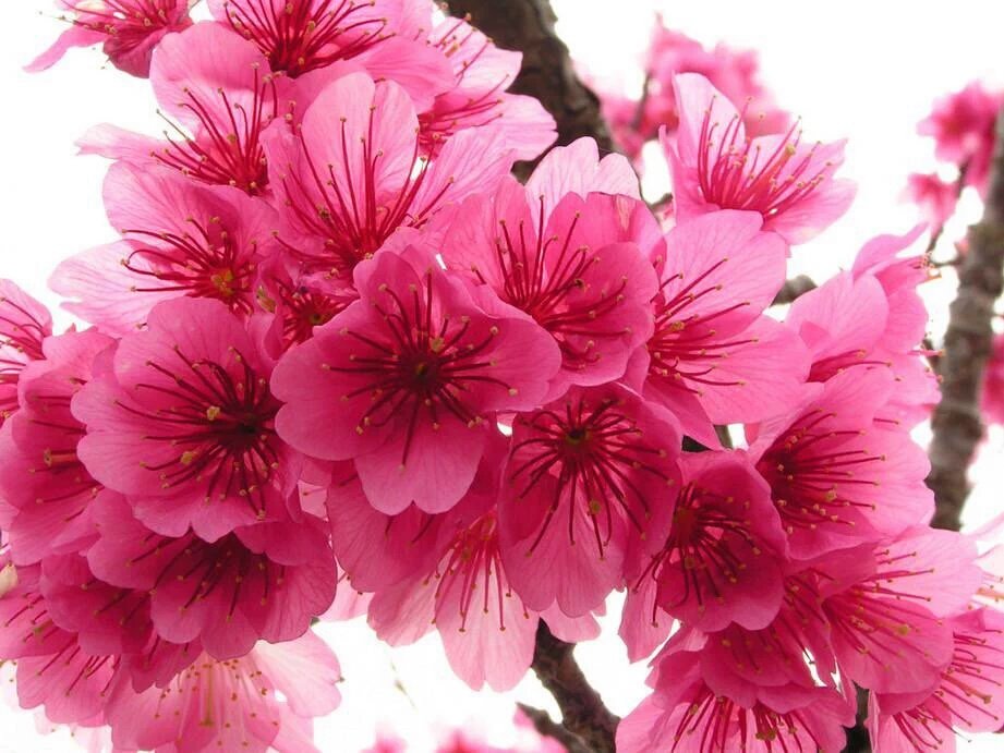 SusyGlez78's tweet photo. @BitarovaA @SvetlanaVys @TaposKumarBasu @8na16 @Mickey175r @ShellyCov @suz78 @SophiaKasmi @slol59 @teotl6 @LatofaOb☺ https://t.co/pl8VNy962C