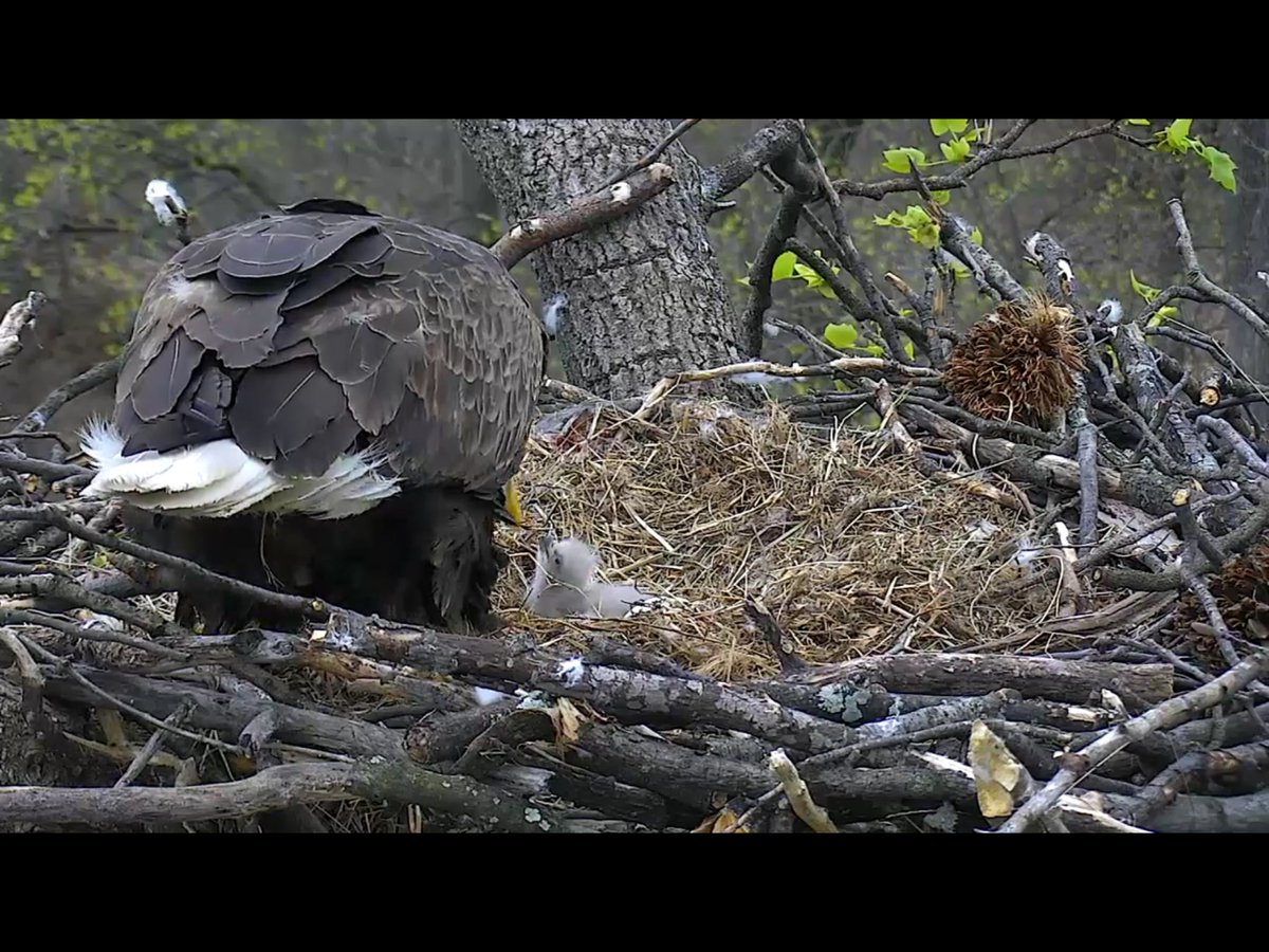 Tyler Reedy tweet media