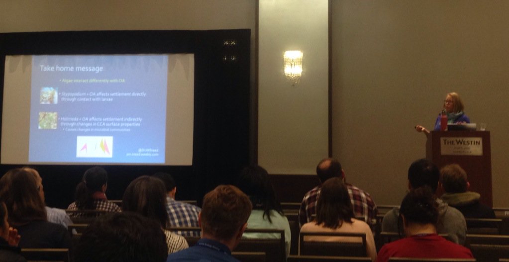 asuria25's tweet photo. Great talk by @DrJMSneed on effects of pH, algae, and CCAs on Porites larval settlement #benthics2016 https://t.co/20Kq0EKdPH