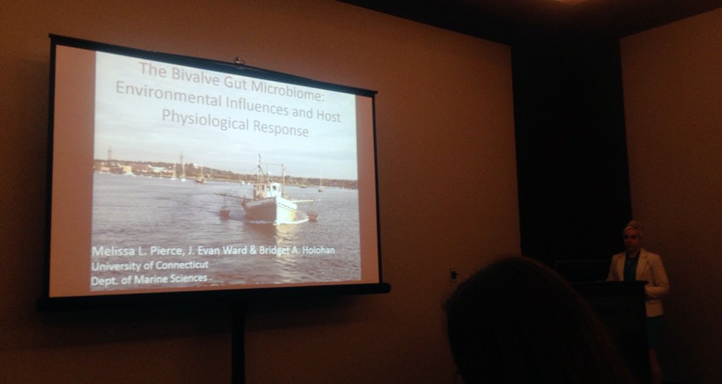 asuria25's tweet photo. Great job Melissa Pierce! Looking at core gut microbiomes of mussels and oysters #benthics2016 https://t.co/FzvHg2cOAw