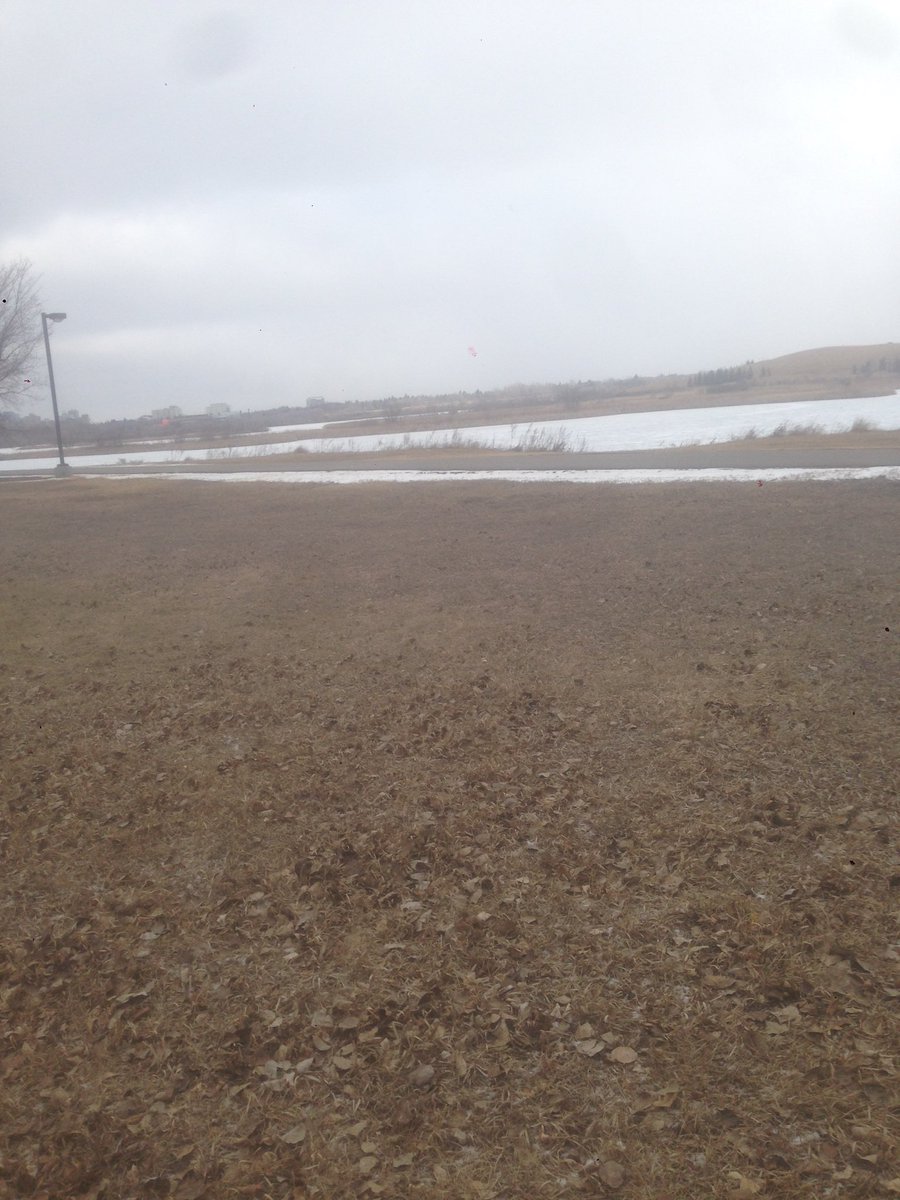 Exploring mental health in nature #HOPEPDday #moodwalks <a href="/SHEAonline/">Tom online SHEA</a>