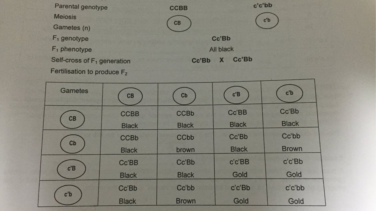 endofalevels's tweet photo. ok la I also don't like bio but don't need so vulgar right https://t.co/ktLYHNG0oa