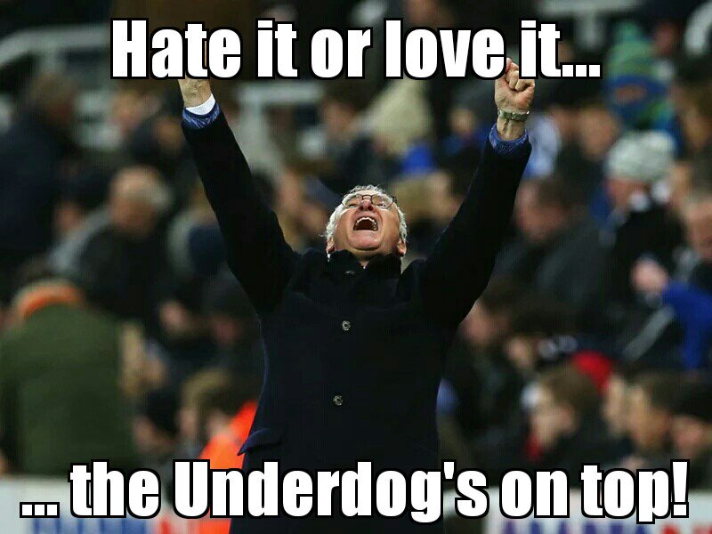 DonRanieri tweet picture