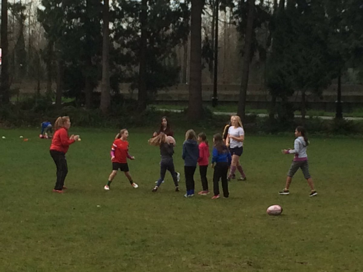 Snowcaps RFC tweet media