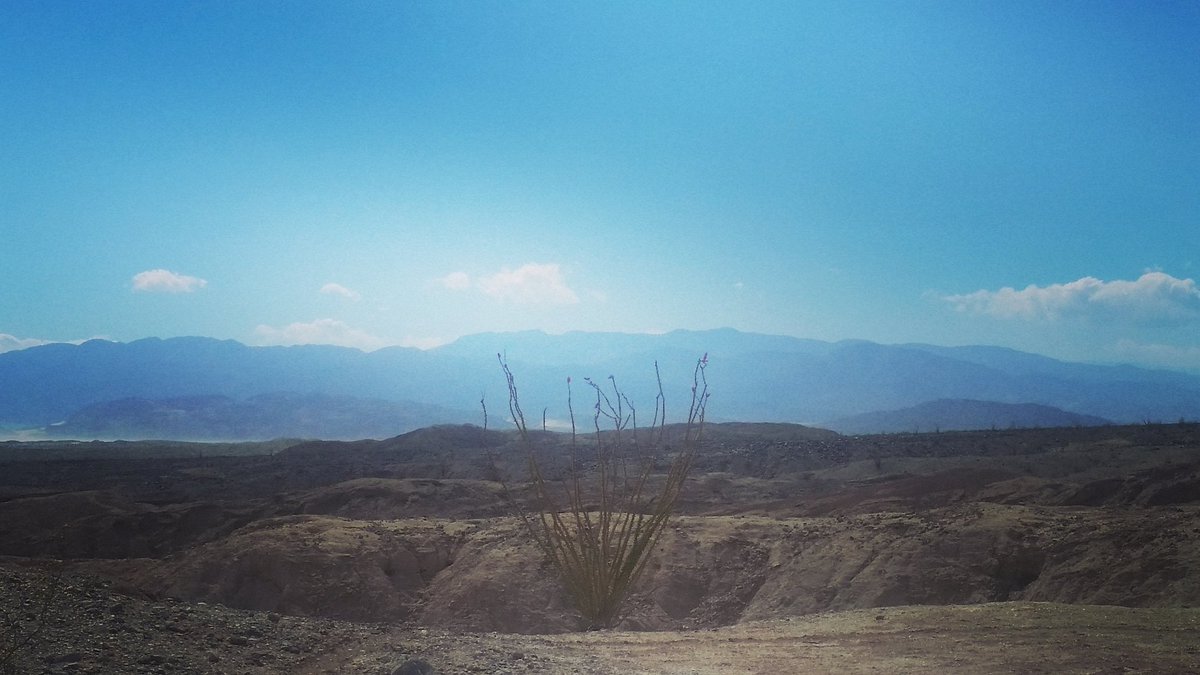Hiking tweet media