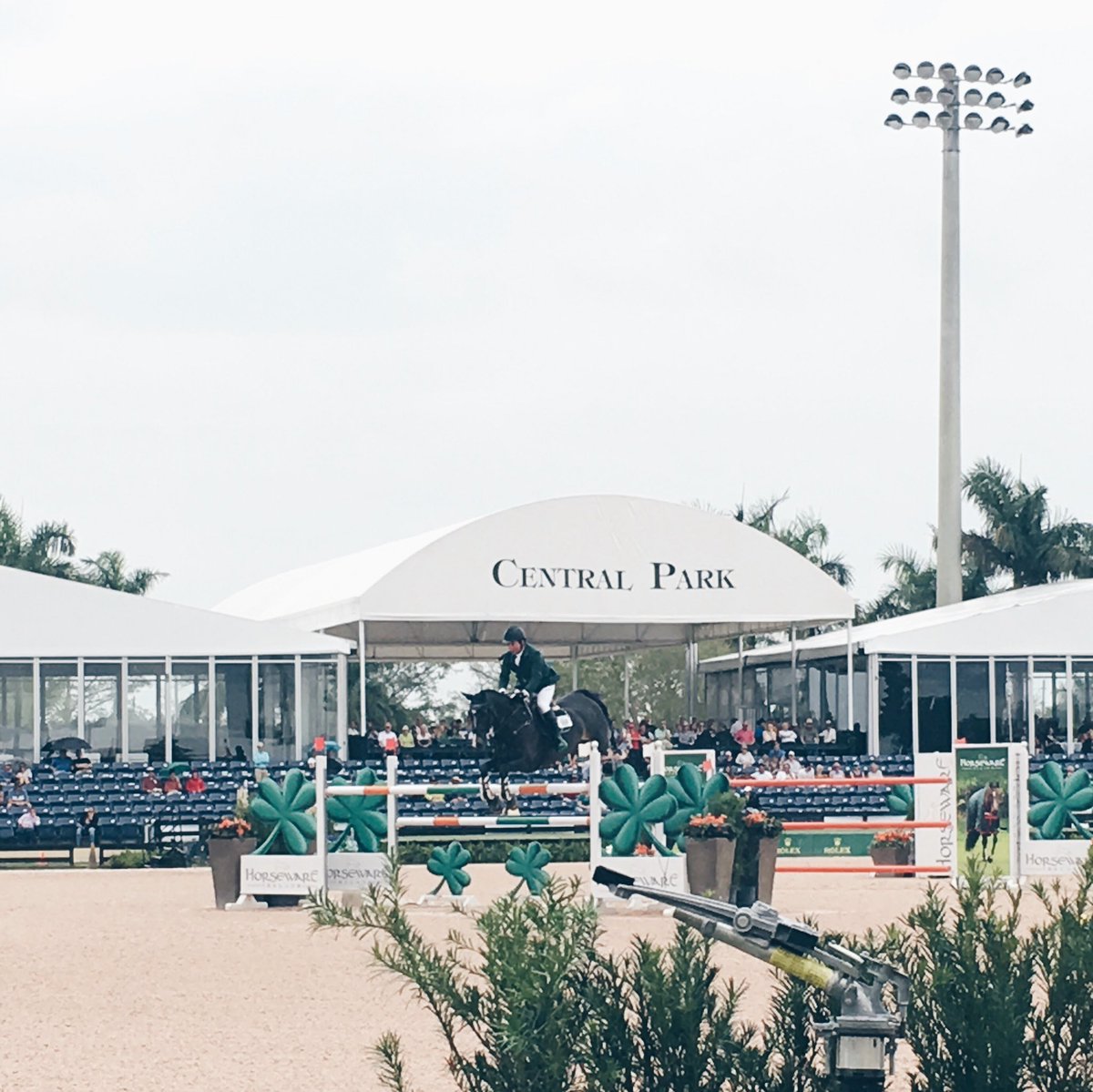 Some of #teamhorseware at today's @ESP_WEF Horseware GP ☘