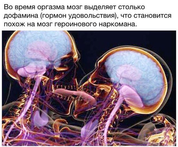 Химические реакции в мозгу. Что происходит внутри во время. Что происходит внутри во время. Поцелуй рентген. Что происходит внутри во время.