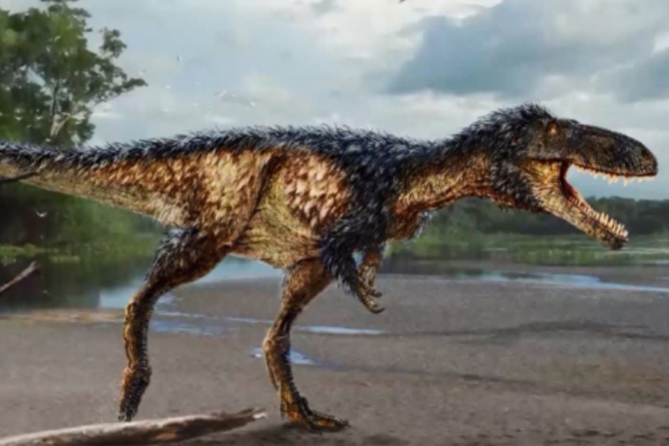 'Pre-Rex' New Species Of Dinosaur Discovered!
m.youtube.com/watch?v=8KEvNi…