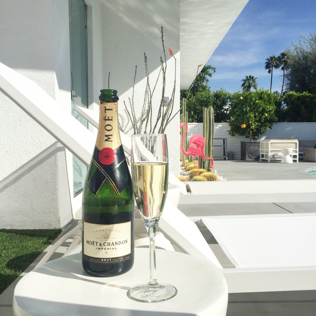 CKennedyDesign's tweet photo. Because champagne is always a good idea. Especially when it's @MoetUSA poolside in @PalmSpringsCA https://t.co/aU6bWprTdQ