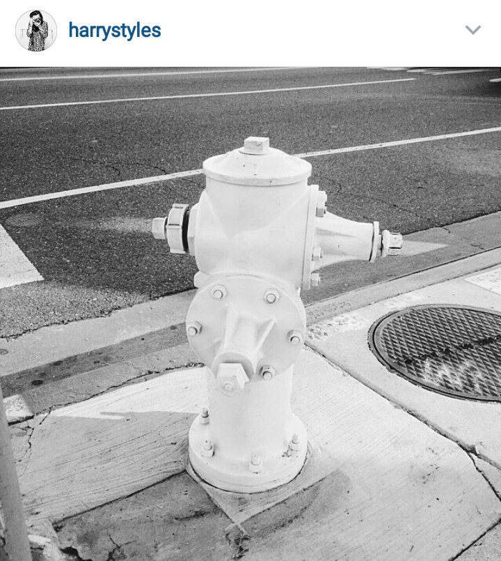 liamgerme's tweet image. FOTOS QUE HARRY TEM/FOTOS QUE O HARRY POSTA