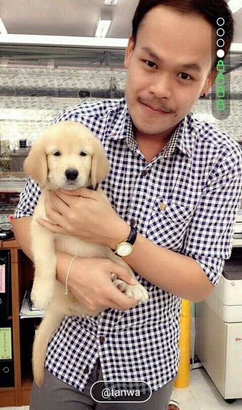 cutemanman's tweet photo. #ควย #ควยชมพู #ควยคนหล่อ #ควยน่ารัก #ควยใหญ่ยาว  #เงี่ยน #หื่น #ควยถอก #ควยเล็ก https://t.co/f7WBqPvcbw