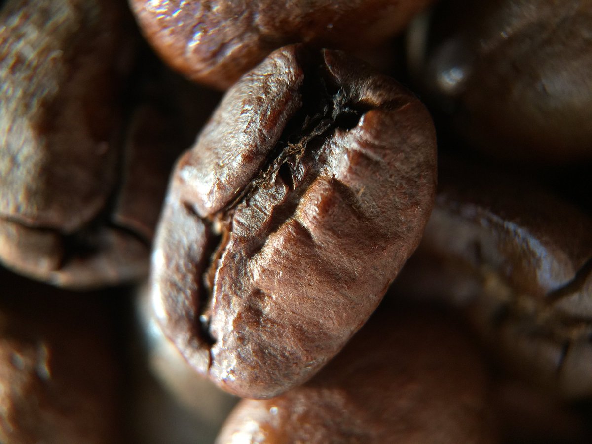 smartphotophone's tweet photo. Coffee bean macro #iphonephotography #macro #food #foodphotography #mobilephotography #lenssystem https://t.co/F7LS8tHyLO