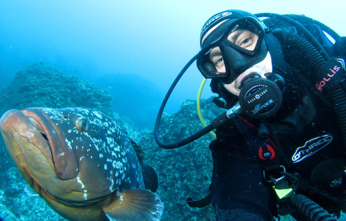 Will Appleyard tweet media