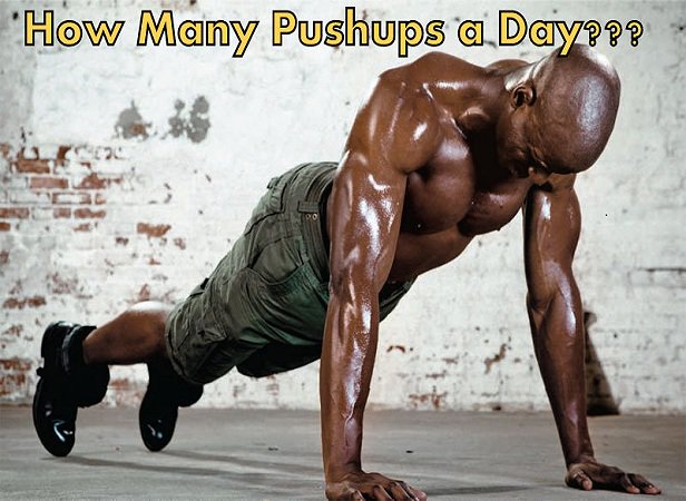 PushupFreaks's tweet photo. https://t.co/TiTOtsC01I
Every 1 Should know about #HowManyPushupsADay can be beneficial for a particular age group. https://t.co/SlSDsGZnqU