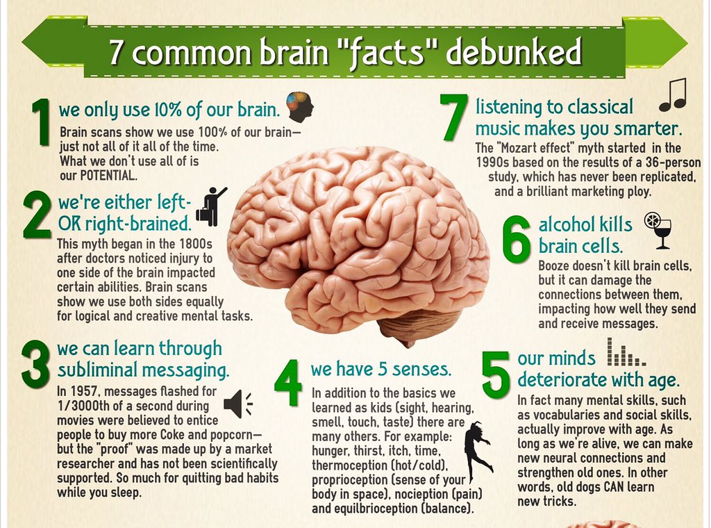 He think he right. Interesting facts about Human Brain. Мозг use it. Information about Brain.