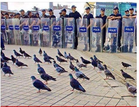 hotm_bilgin's tweet photo. Herşey kontrol altında.polisimiz Taksimde kuş uçurtmuyor 👏 https://t.co/KjzXCfsaLL