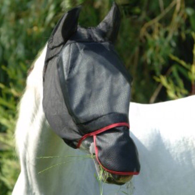 Treat you horse to a peaceful summer away from the flies with the Equilibrium Field Relief Max Fly Mask #summer