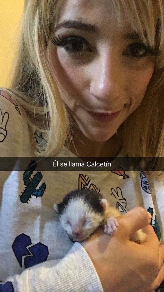 JazminconJ's tweet photo. Les presentamos a Zapato y Calcetín. 
😻😻 https://t.co/r7hO693Fia