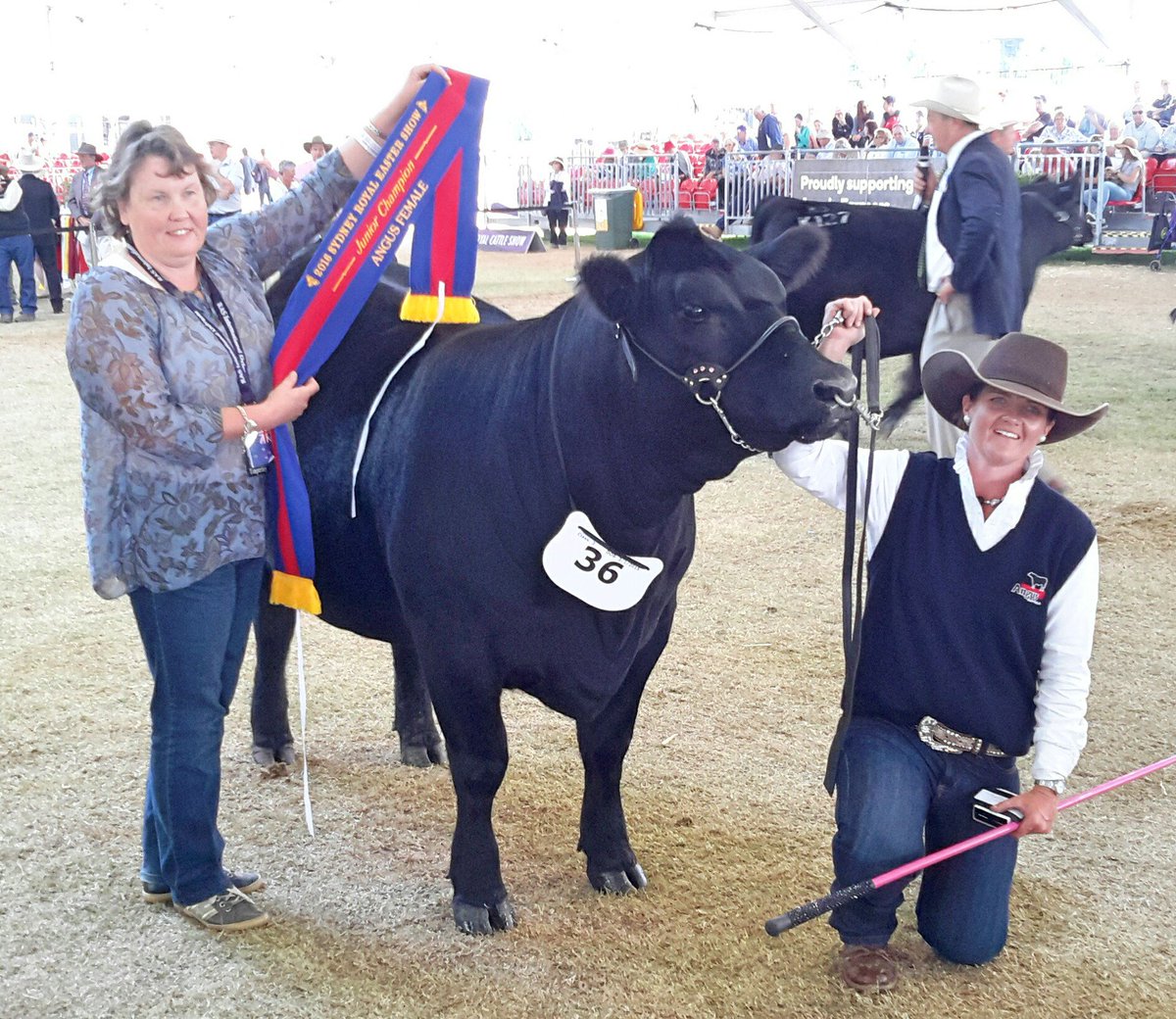 RAS <a href="/eastershow/">The Sydney Royal Easter Show</a> 2016 #Angus Junior Champion Female - PC MISS TOOTIE L301 Exhibited by Pine Creek Angus Stud