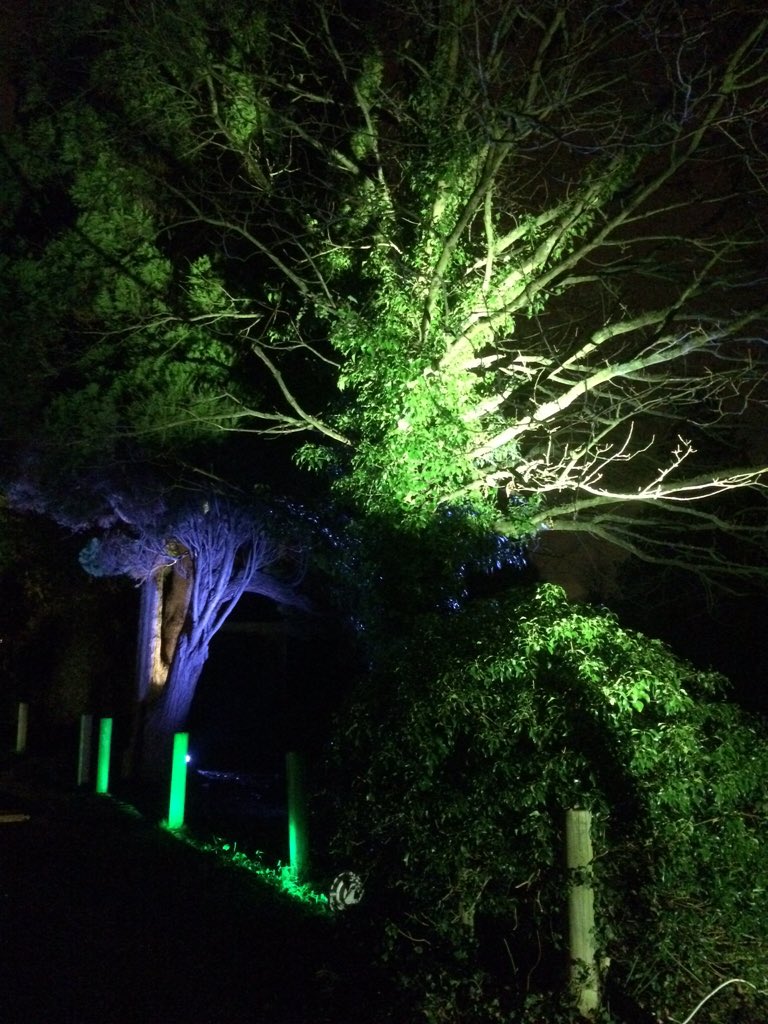 The winning Junior Ready Steady Light design by Hillview School! #JRSL <a href="/rosebruford/">Rose Bruford College</a>