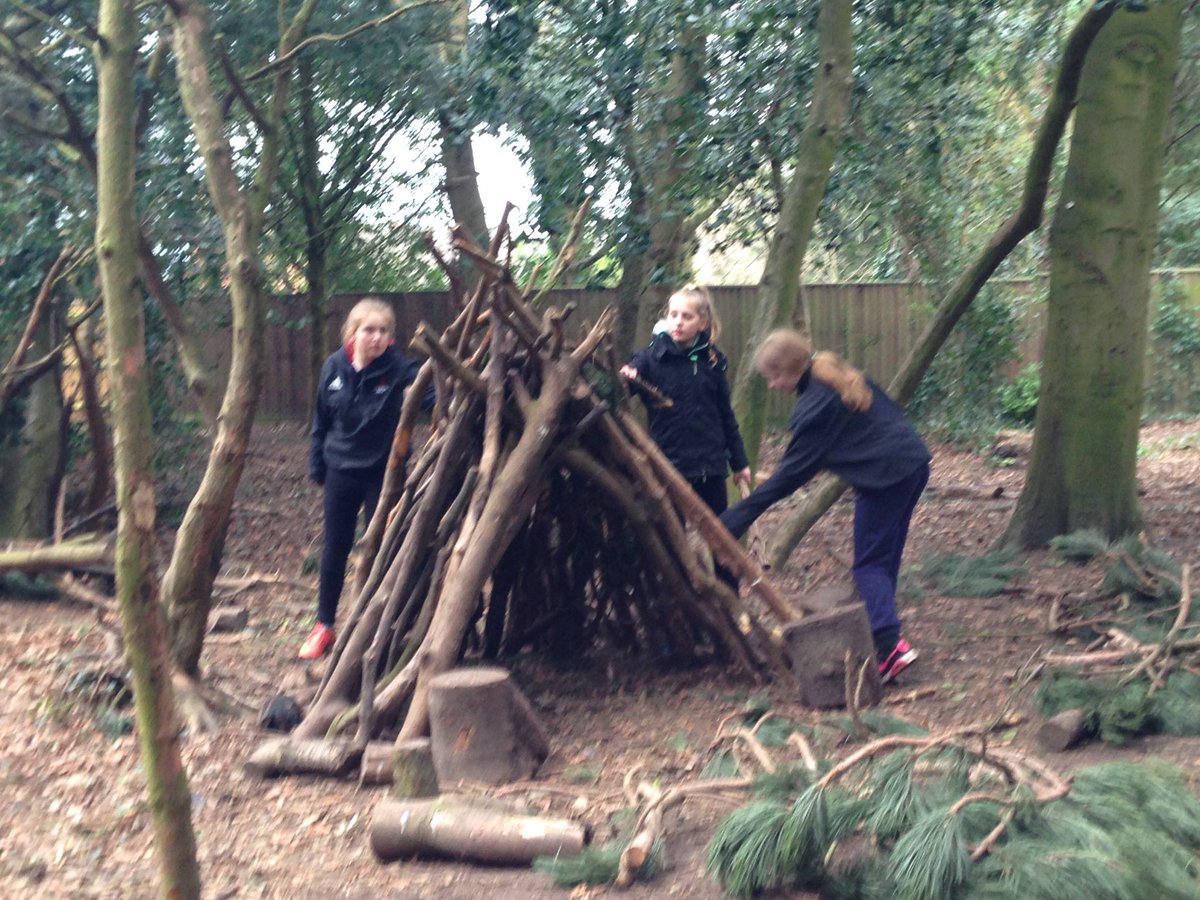 rossettPE's tweet photo. Some great bush shelter building today #RST16 #group2/E https://t.co/3eIBGkTpg6