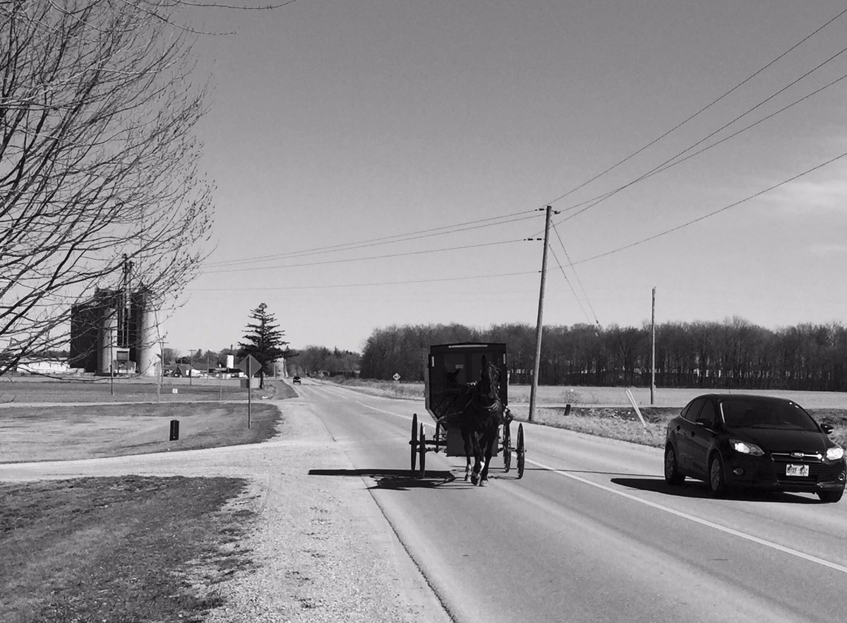 irwin_brenda's tweet photo. Traffic jam today ... Country style. 
#MtElgin #OxfordCounty 
#GreatDayForaRun 
@wiivvit #KeepGoing https://t.co/jJ4wPXOh25