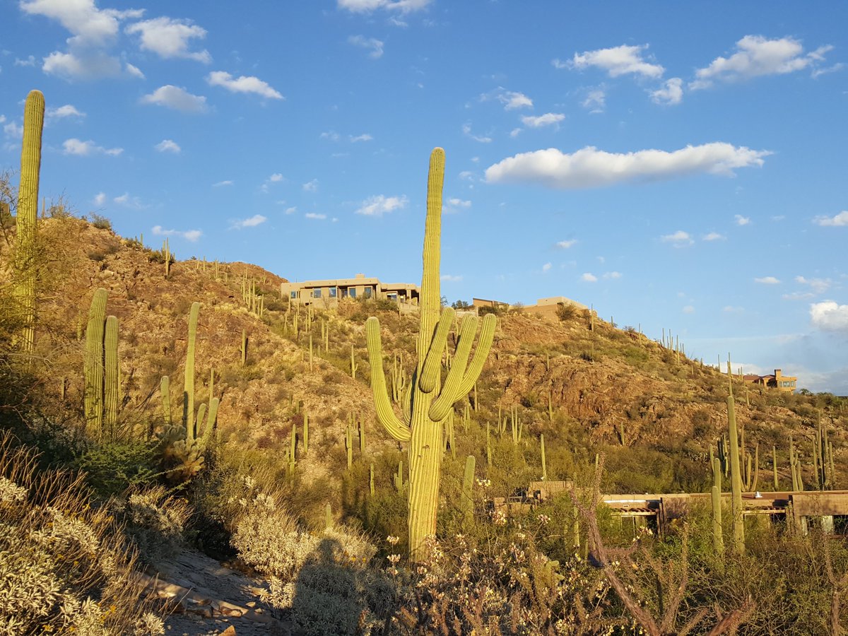 projecteve1's tweet photo. Live w/ more freedom & peace of mind. Life is short why worry about your phone? #dropresistant #gorillaglass4… https://t.co/RSaSPxXPJY