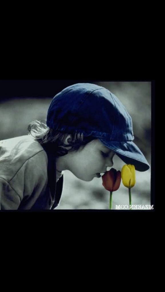 nasem tweet media
